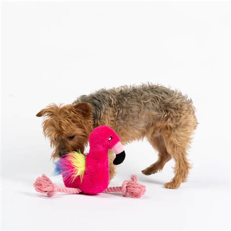 Flamingo Dog Toy Flamingo Pet Products Silver Paw