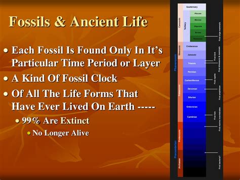 PPT - Chapter 17 The History of Life PowerPoint Presentation, free ...