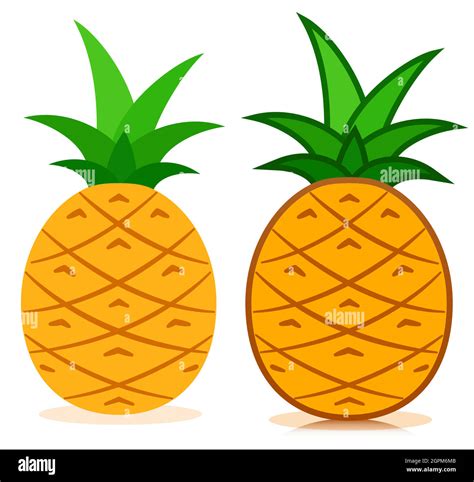 Pineapple Icon Tropical Fruit Vector Stock Vector Image Art Alamy