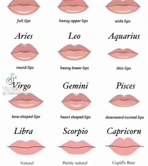 Different Shape Of Lips Types Of Lips Shape Types Of Eyes Zodiac