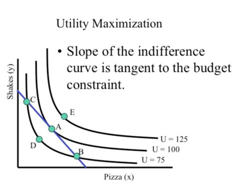 Microeconomics Final Flashcards Quizlet