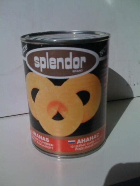 Canned Pineapple Slices,Germany price supplier - 21food