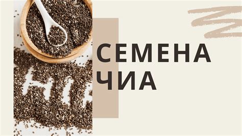 Чиа - свойства, пищевая ценность, использование [РАЗЪЯСНЕНИЕ] - Напитки ...