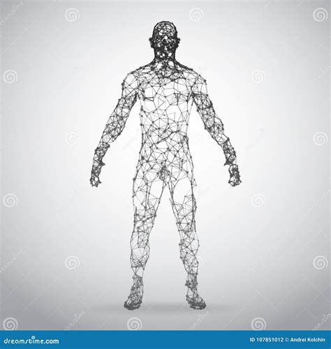 Abstract Wire Frame Human Body. Polygonal 3d Model on White Background ...