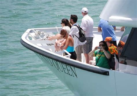 Miami Biscayne Bay Sightseeing Boat Tour GetYourGuide