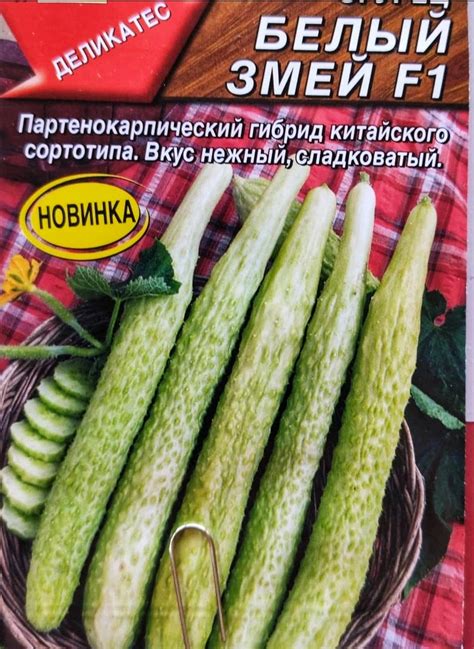 Огурец Белый Змей от компании Аэлита - «Экзотика? Нет, отличный вариант ...