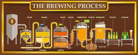 Beer Brewing Process Stock Photos, Pictures & Royalty-Free Images - iStock