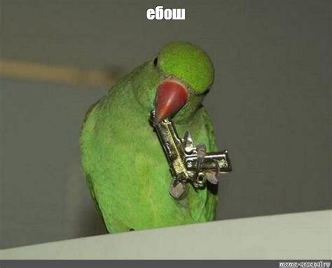 Meme: "ебош" - All Templates - Meme-arsenal.com