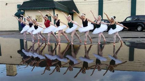 The Ballet Centre | Dance, Ballet, Bird