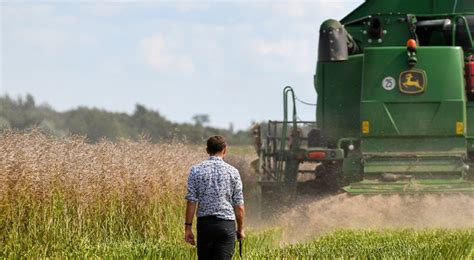 Prawie 7t Z Ha Nowy Rekord Polski W Plonie Rzepaku