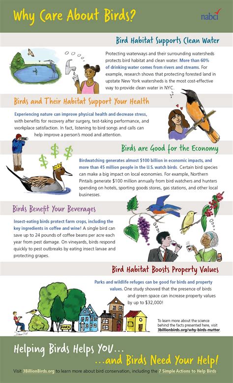 Why Birds Matter - eBird Pacific Northwest