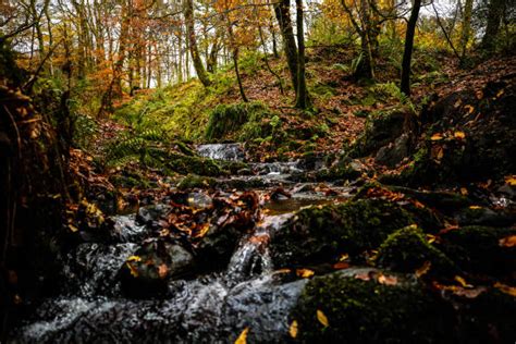 640+ Cairngorms Autumn Stock Photos, Pictures & Royalty-Free Images - iStock