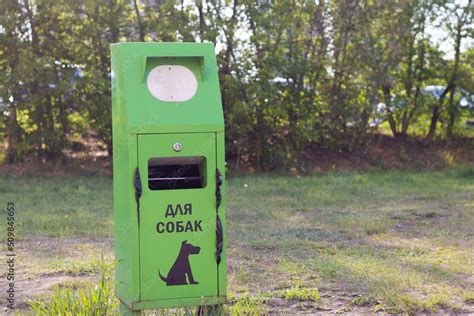 Green bin for dog poop. Responsible pet ownership and environmental ...