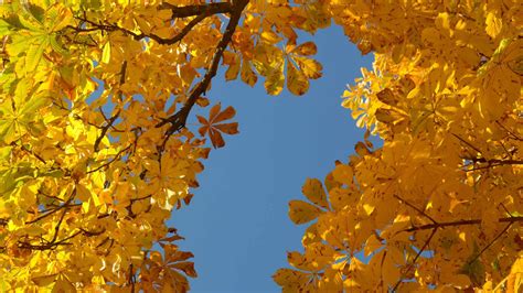 Das Wochenendwetter Ein Hauch Von Normalit T