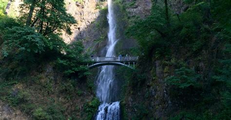 Portland Columbia River Gorge 3 Hour Small Group Tour