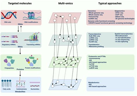 Integrative Multi Omics Approaches To Explore Immune Cell Functions