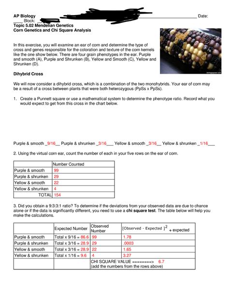 Ap Bio Lab Chi Square Practice Problems Ap Biology Name