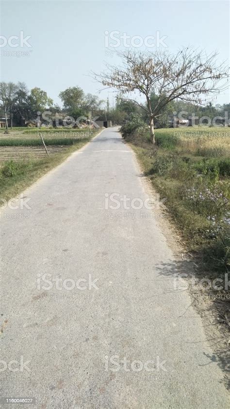 Village Road India Stock Photo - Download Image Now - Country Road, India, No People - iStock