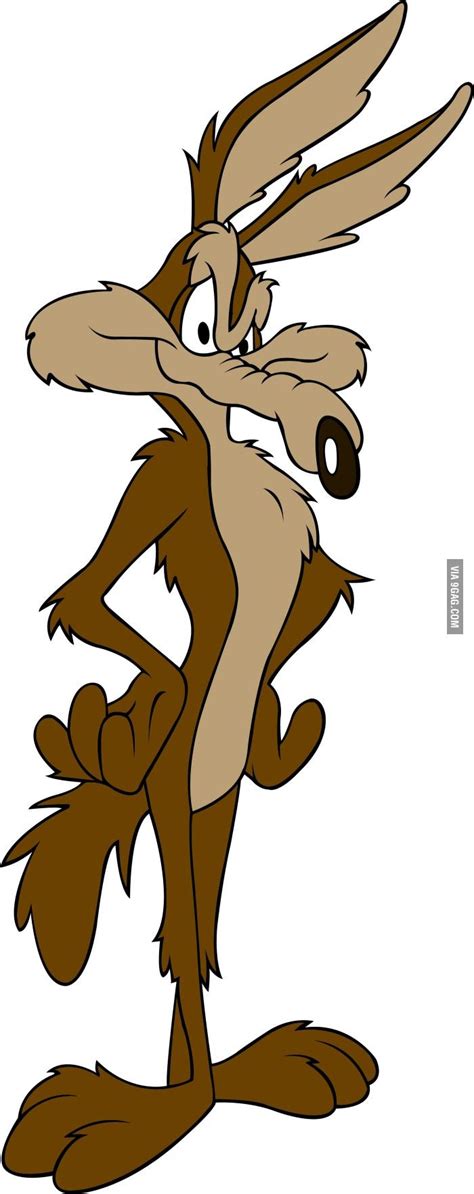 571 Besten Wile E Coyote Looney Tunes Bilder Auf Pinterest