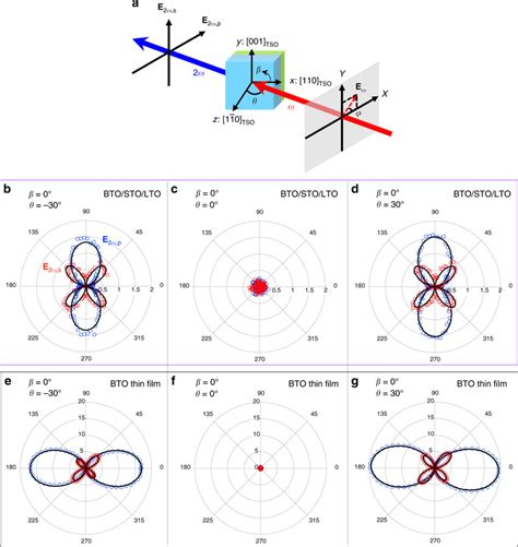 Shg Polarimetry Measurement A Schematics Of The Far Field Transmission