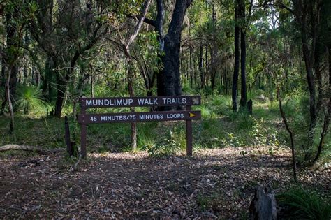 Mundlimup Timber Trail Balmoral Rd Jarrahdale Wa 6124 Australia