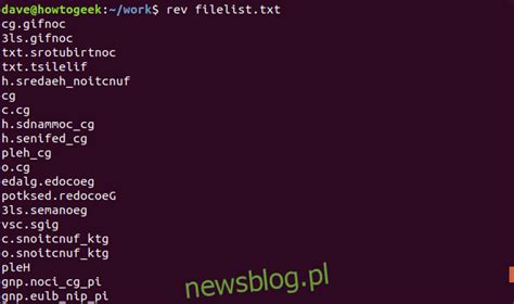 Jak Korzysta Z Polecenia Rev W Systemie Linux