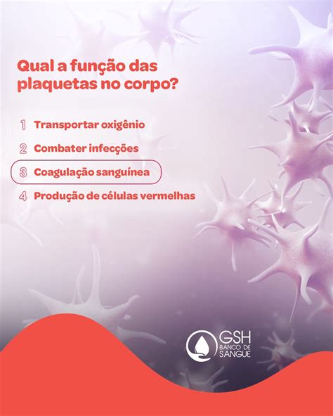 Qual É A Função Das Plaquetas - Funcao Dos Trombocitos Tamanho De Plaquetas E DoenÃƒÂ§a Vascular