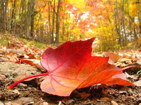 Llega el otoño el cambio de hora y los días más cortos