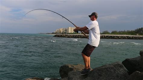 Best Snook Fishing Spots Revealed Juno Pier Snook Fishing Youtube