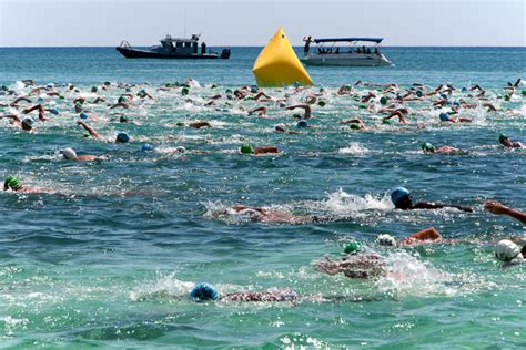 Olympic marathon swimming is much crazier than you may think - Men's ...