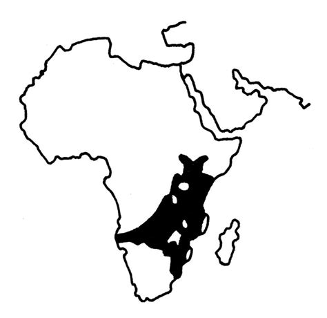 PLAINS ZEBRA – National Zoological Garden, Pretoria