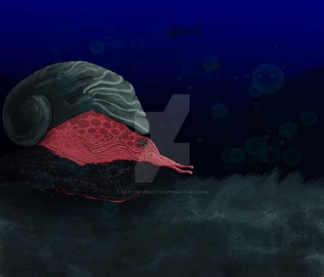 deep volcanic snail by raptorvenator on DeviantArt