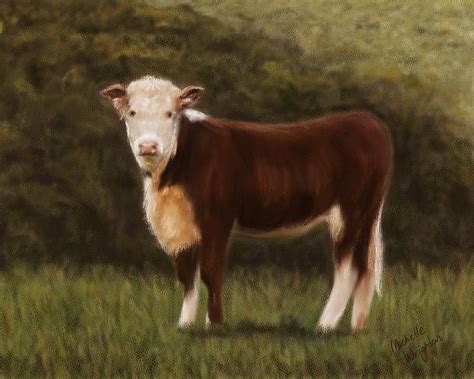 Hereford Heifer Painting By Michelle Wrighton Fine Art America