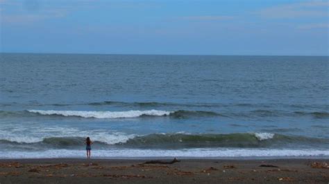 波情報 湘南 腿腰セット腹 波質低調FX FISH サーフボードクオリティーハードコア Quality Hardcore Distributions