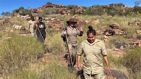 Was New Indigenous Womens Ranger Team Help Threatened Golden