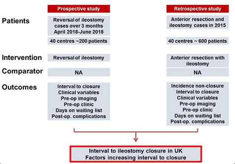 Loop Ileostomy Closure