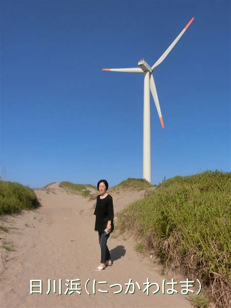 茨城県神栖市の日川浜・風車が凄い・海浜植物・鹿島灘・鹿島臨海工業地 西村治彦の日記