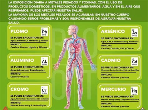 Metales Pesados Cómo afectan a tu cuerpo Análisis y Tratamiento