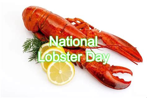 National Lobster Roll Day Lesly Novelia