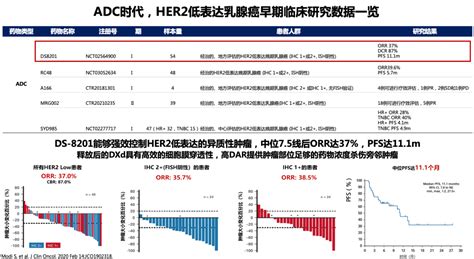 【2021 Sibcs】adc有望开启her2阳性与her2低表达乳腺癌治疗新篇章研究