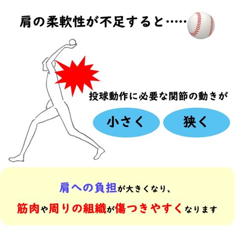 野球選手は要注意！肩の痛みの正体とは？ 西宮市の整体 鳴尾ぴっと骨盤整体院