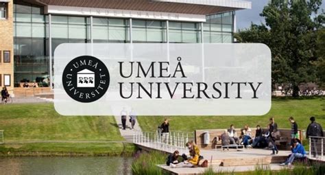 Umea University Post Doc Scholarship For International Students In Sweden