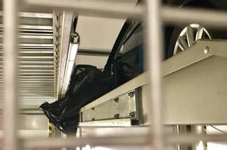 This Naked Hedgehog Is Missing All His Spines And People Have A Ton Of Feelings Artofit