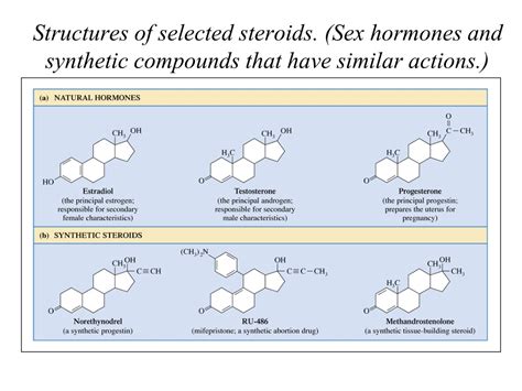 Ppt Organic Molecules Functional Groups Lipids Terpenes Fats Oils