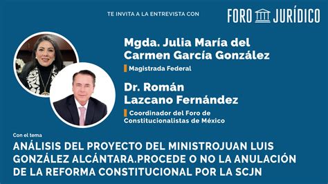 Análisis del proyecto del Ministro Juan Luis González Alcántara