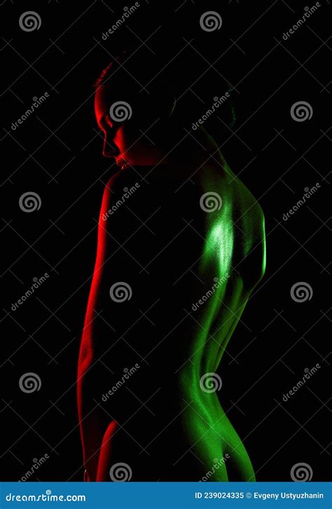 Beautiful Naked Woman In Color Lights Stock Image Image Of Posing Radiance 239024335