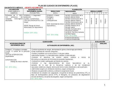 Place Global 1 PLAN DE CUIDADO DE ENFERMERÍA PLACE DIAGNÓSTÍCO