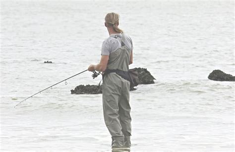 Les meilleurs spots de pêche près de La Rochelle SP Musicienne