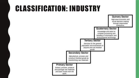 11.1.2 Types of businesses - Industry sectors