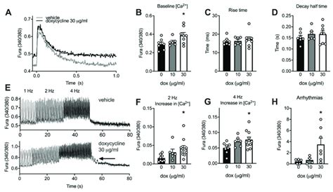 Higher Resting Cytosolic Calcium And More Arrhythmias In Adult